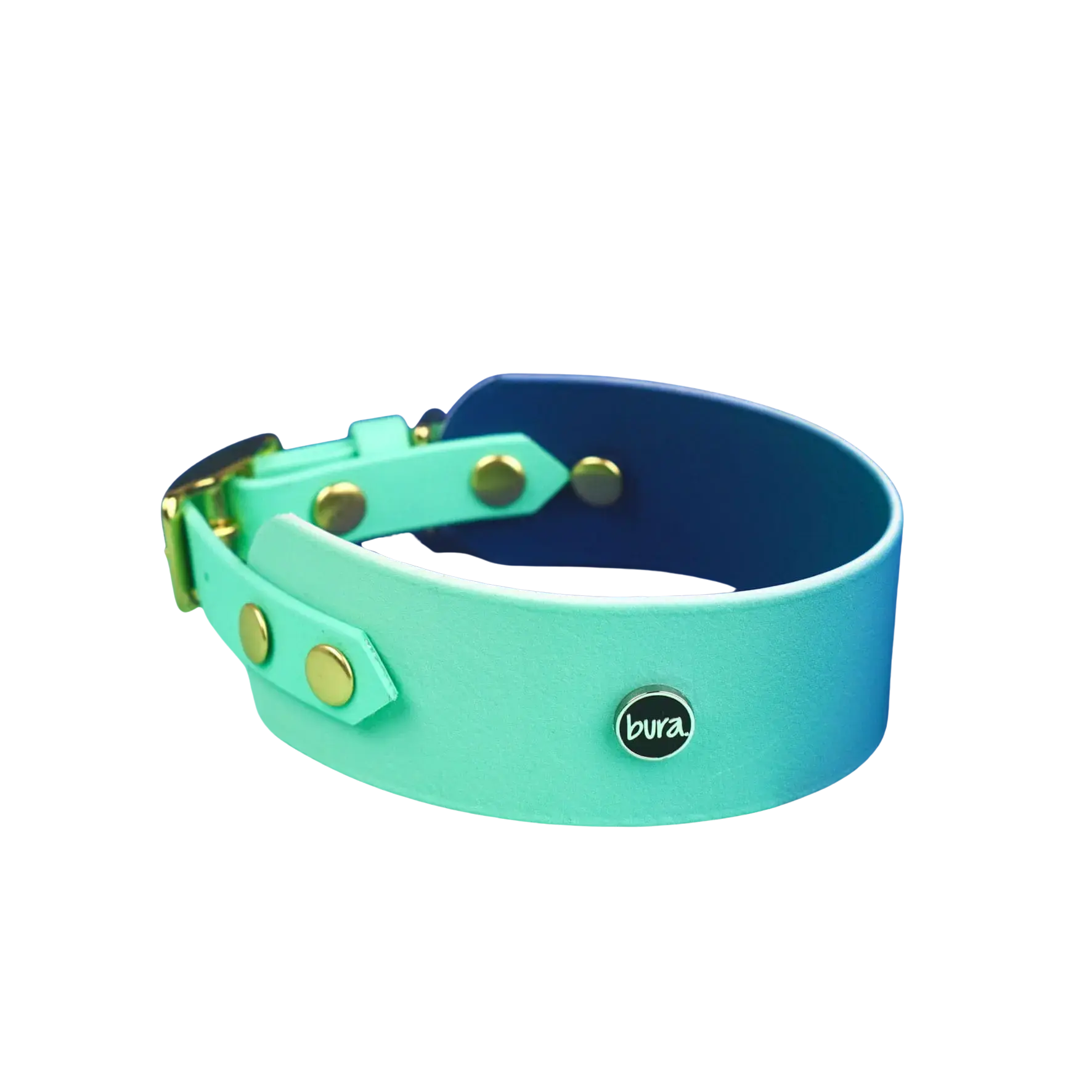 Obroża dla Charta na sprzączkę, Blue Lagoon BURA