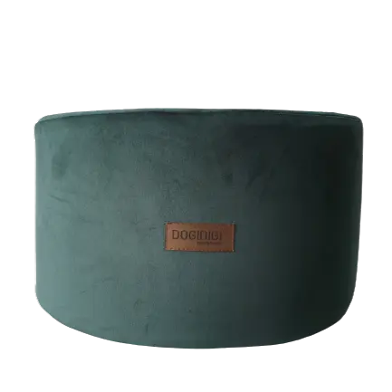 Box na zabawki dla psa butelkowy zielony DOGIDIGI