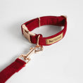 Załaduj obraz do przeglądarki galerii, Obroża z klamrą Psotnik bordo Psotnik
