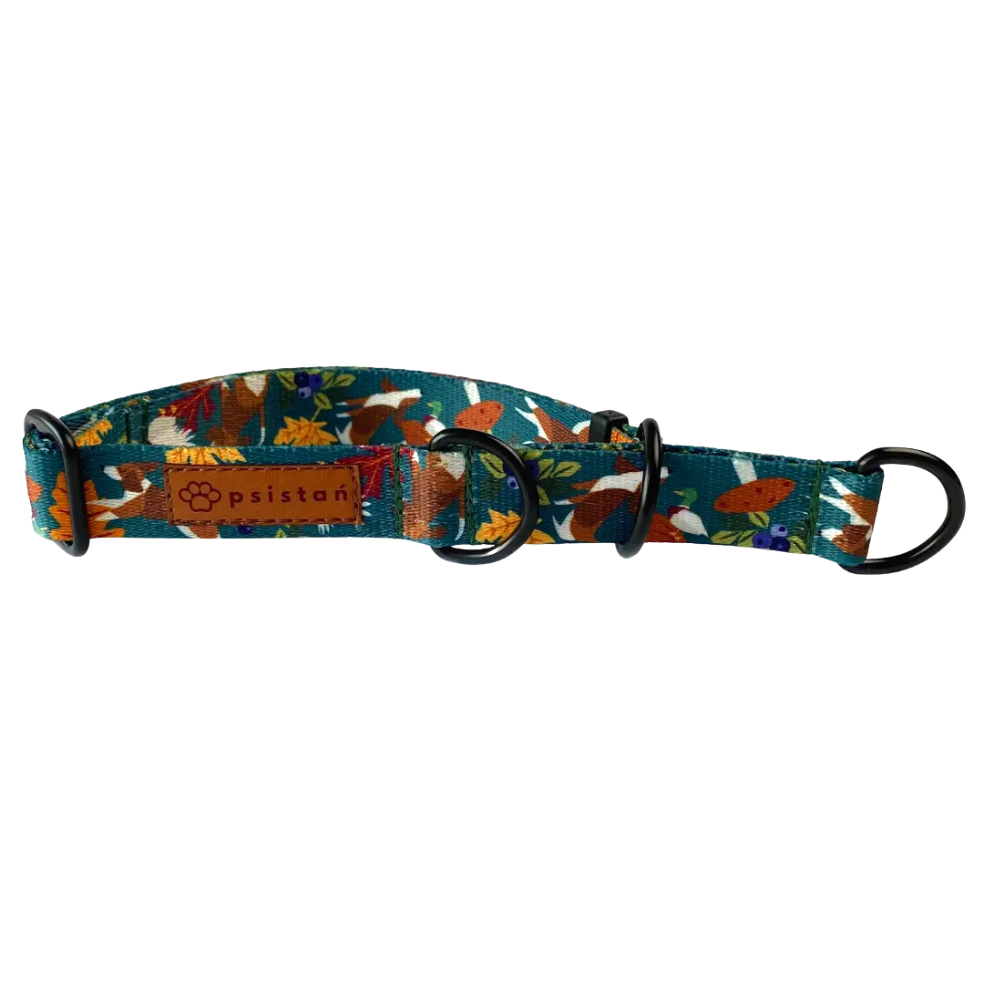 Obroża półzaciskowa Leśne harce psistań