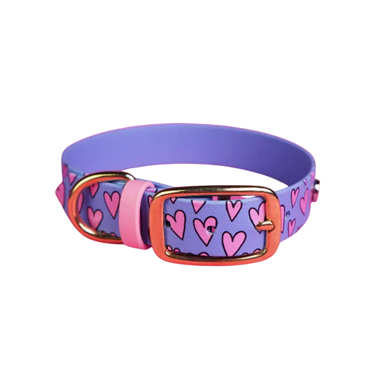 Obroża na sprzączkę dla psa, Serca / niebiesko-lawendowy BURA