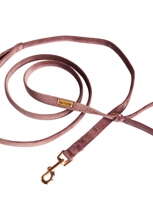 Smycz przepinana Wrzosowy Psotnik Psotnik