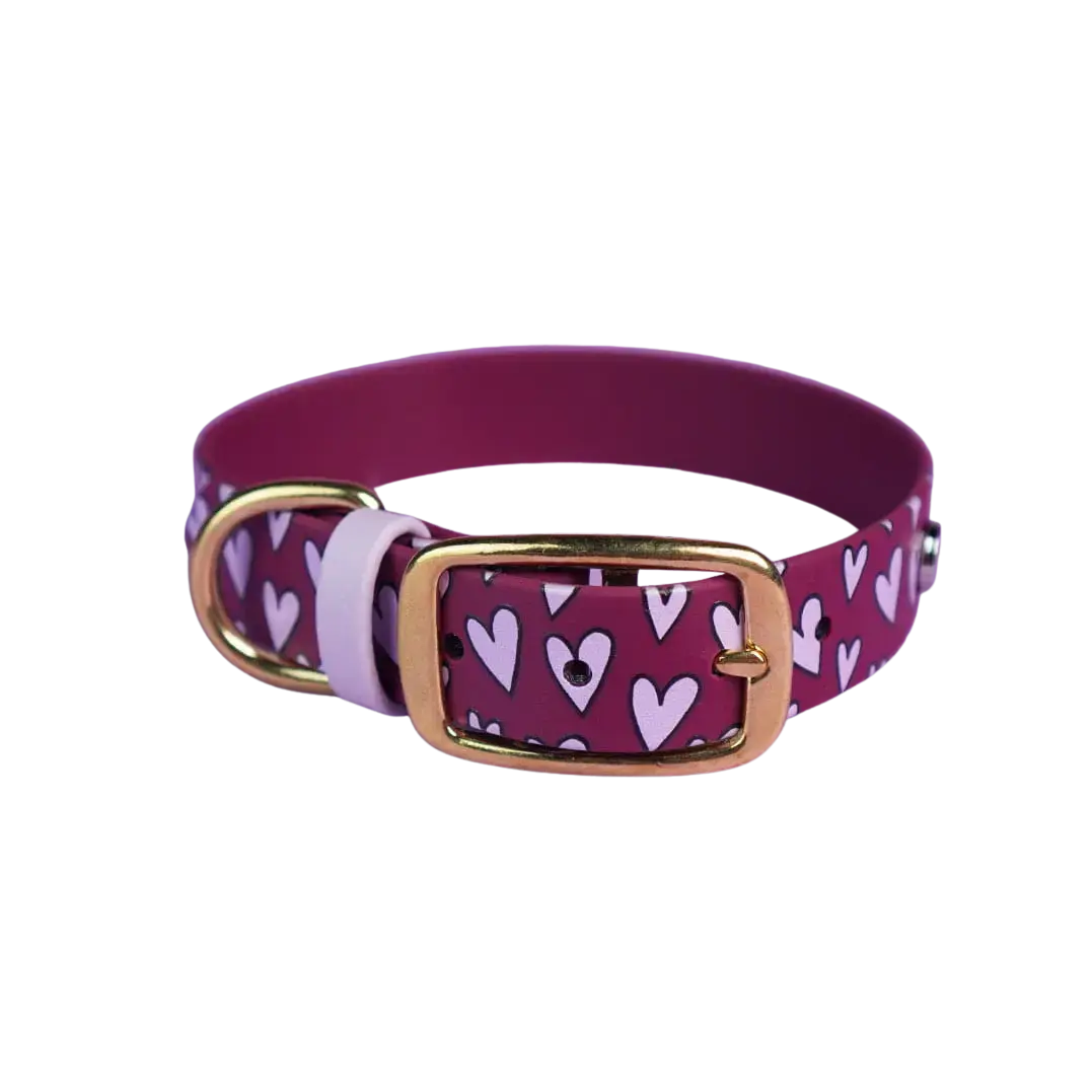 Obroża na sprzączkę dla psa, Serca / bordo BURA