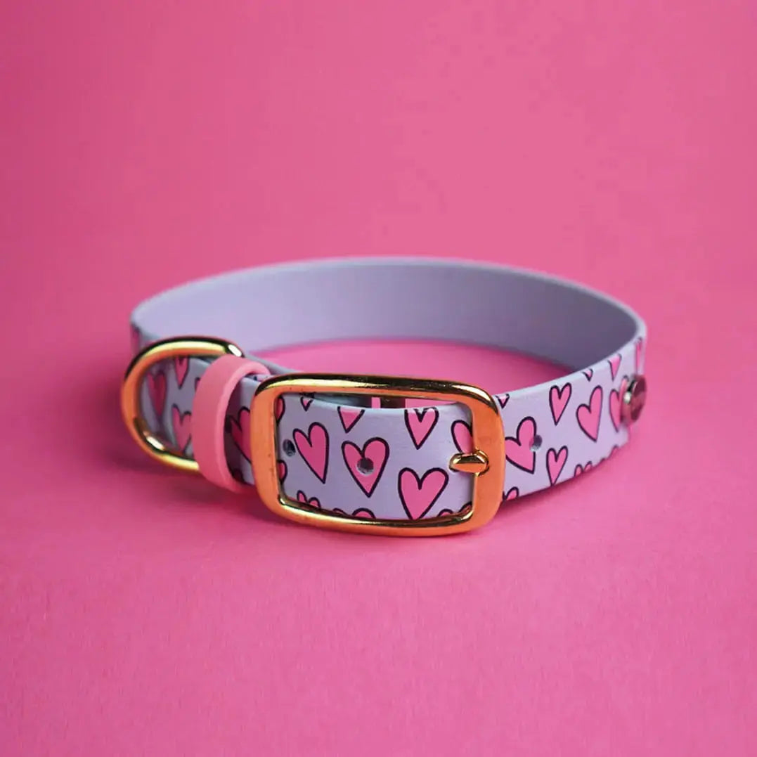 Obroża na sprzączkę dla psa, Serca / pastelowy niebieski BURA