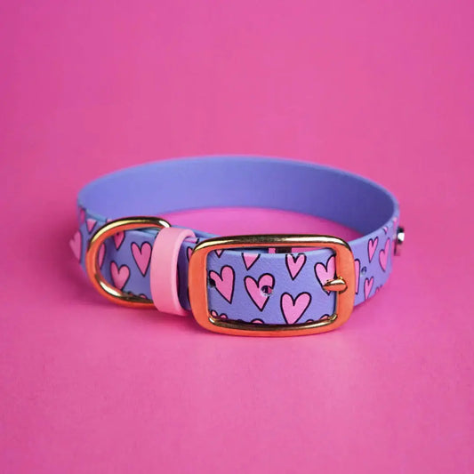 Obroża na sprzączkę dla psa, Serca / niebiesko-lawendowy BURA