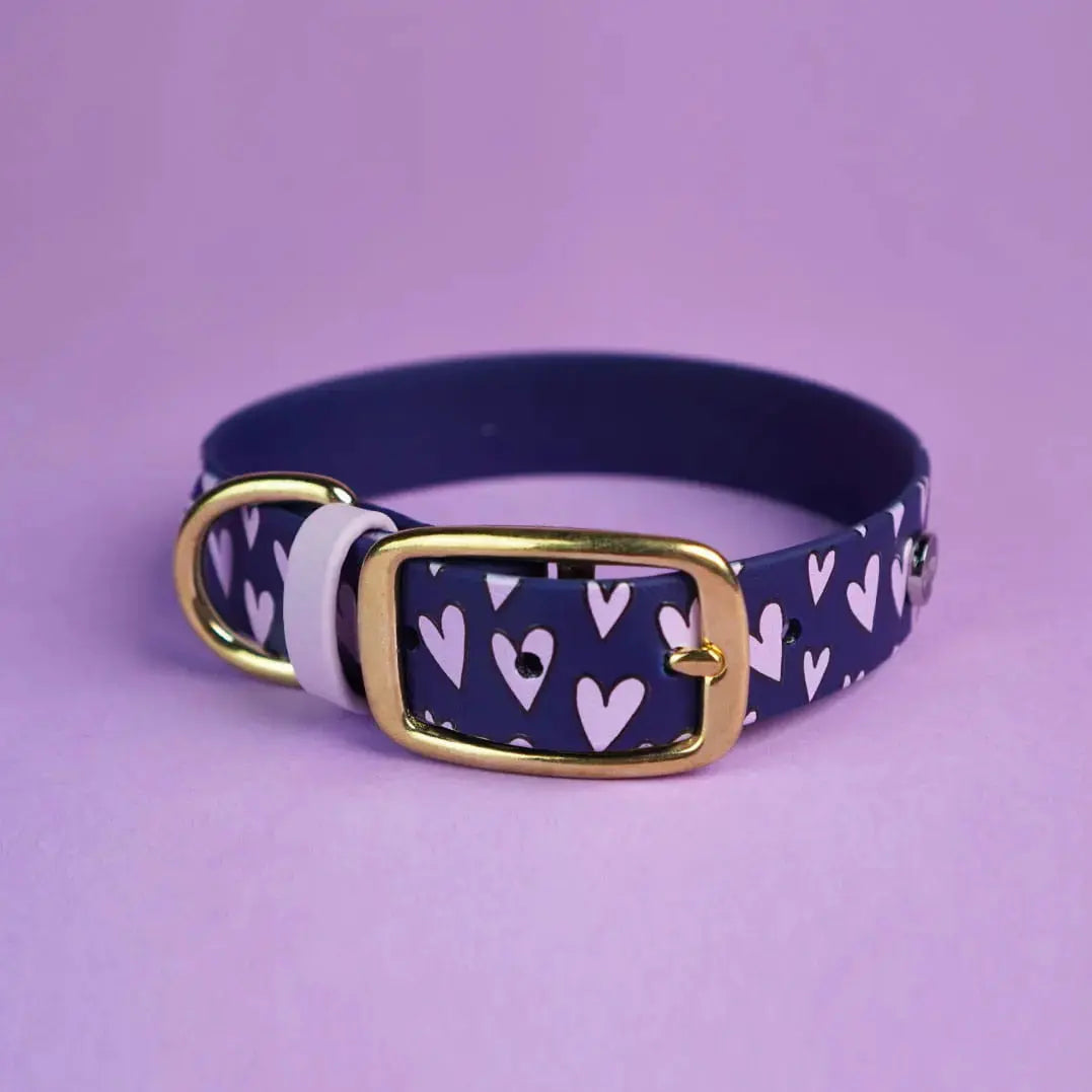 Obroża na sprzączkę dla psa, Serca / granat BURA