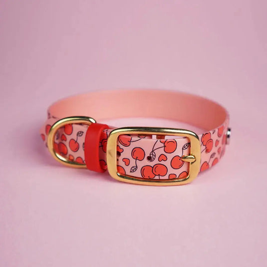 Obroża na sprzączkę dla psa, Wiśnie i serduszka / łososiowy róż BURA