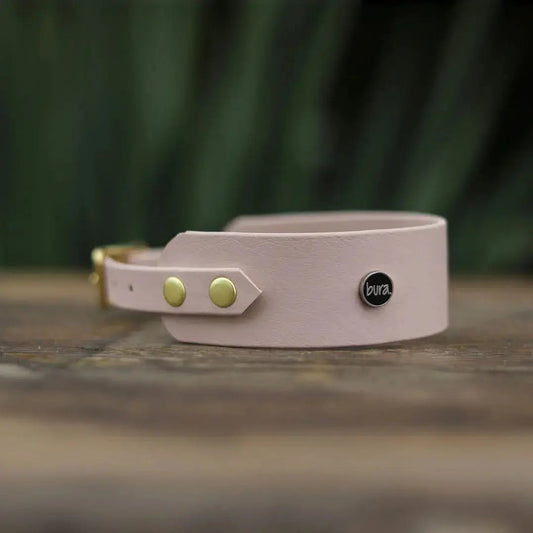 Obroża dla Charta na sprzączkę, PUP&cake / pudrowy BURA