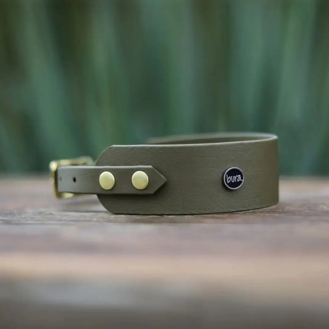 Obroża dla Charta na sprzączkę, WATAHA / militarna zieleń BURA