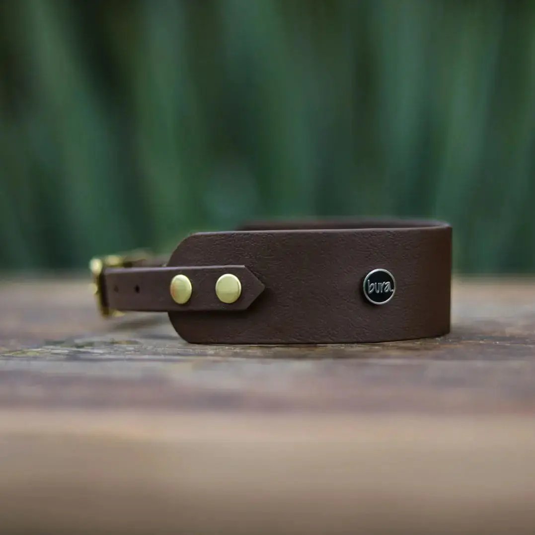 Obroża dla Charta na sprzączkę, dark chocolate... HAU good! / ciemny brąz BURA
