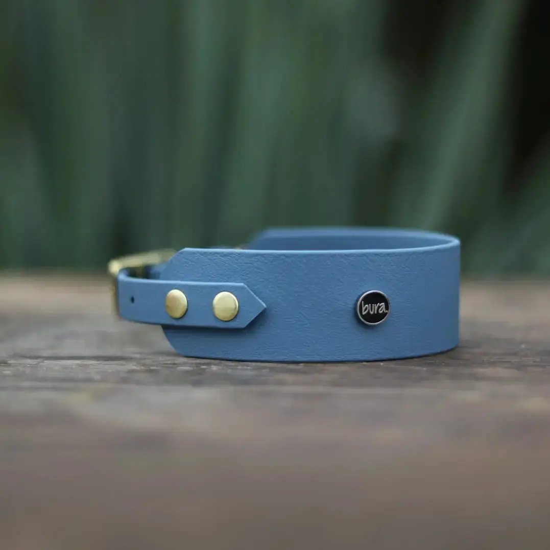 Obroża dla Charta na sprzączkę, denim DOG / blue jeans BURA