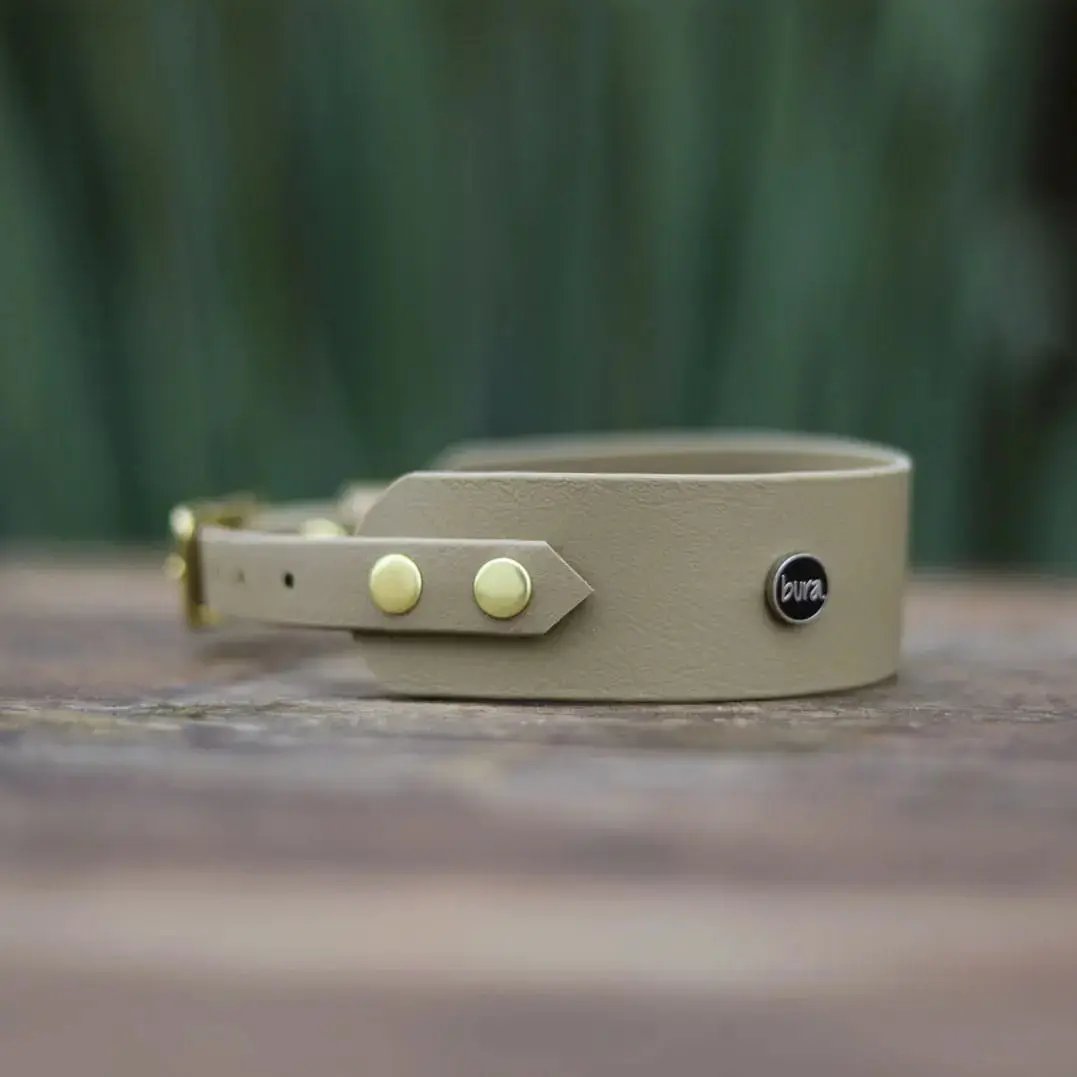 Obroża dla Charta na sprzączkę, PSIAkość / khaki BURA