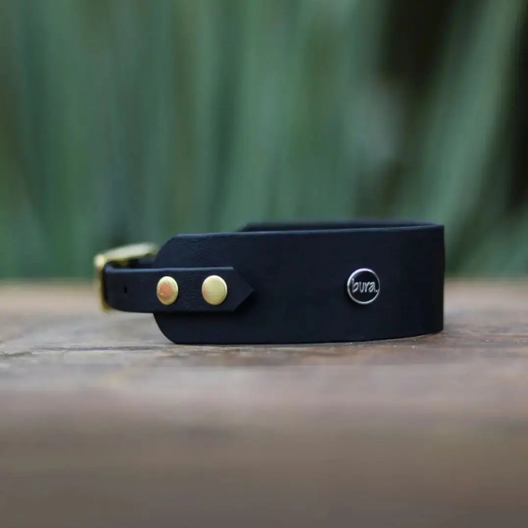 Obroża dla Charta na sprzączkę, COCO Psianel / czarny BURA