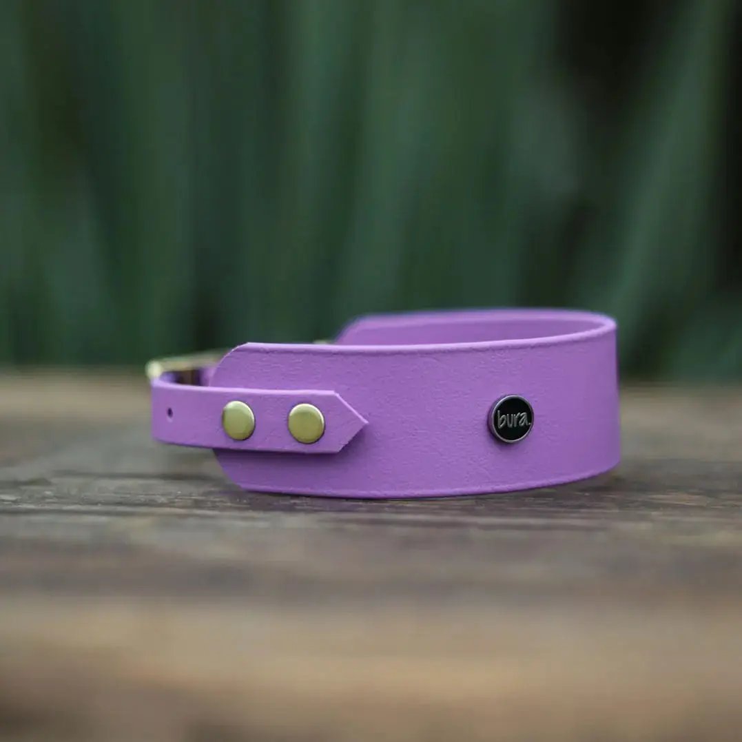 Obroża dla Charta na sprzączkę, FURRY tale / jasny fioletowy BURA