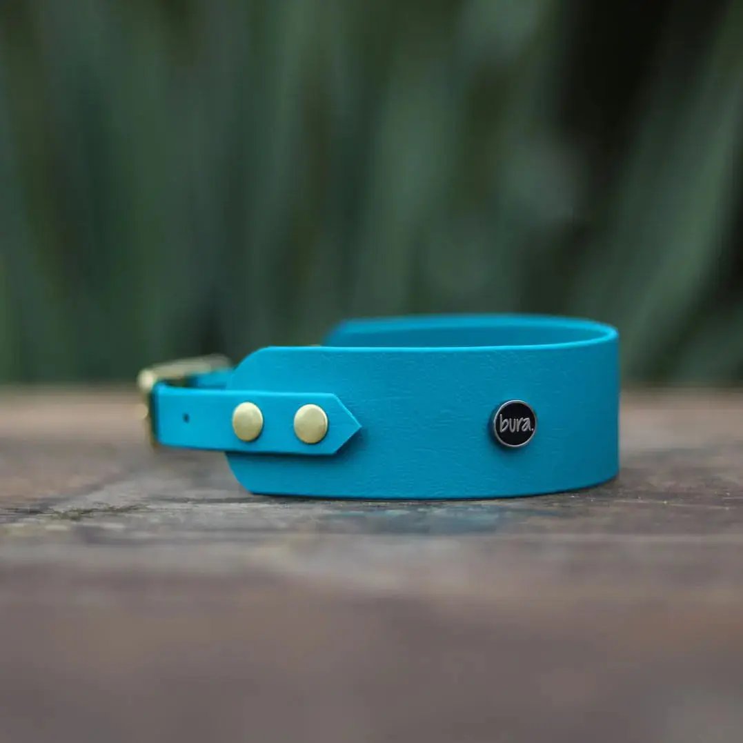 Obroża dla Charta na sprzączkę, wilk MORSKI / turkus BURA