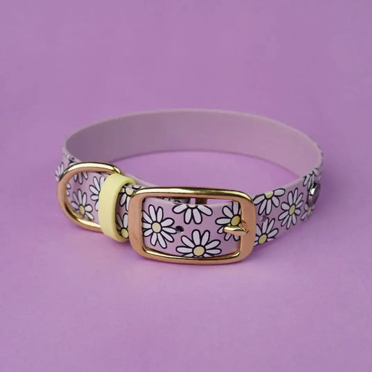 Obroża na sprzączkę dla psa, Stokrotki / lilia BURA