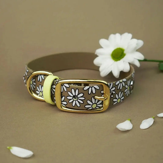 Obroża na sprzączkę dla psa, Stokrotki / khaki BURA