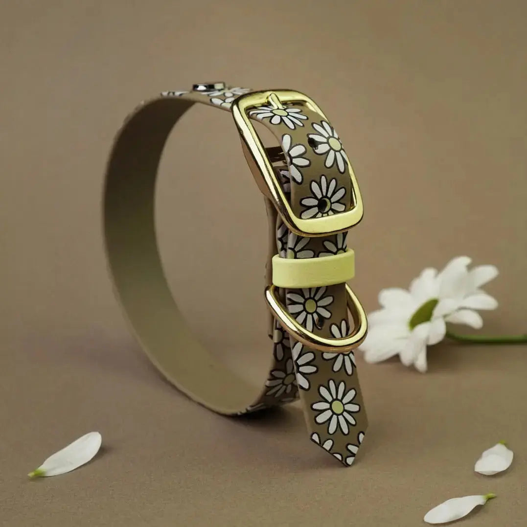 Obroża na sprzączkę dla psa, Stokrotki / khaki BURA