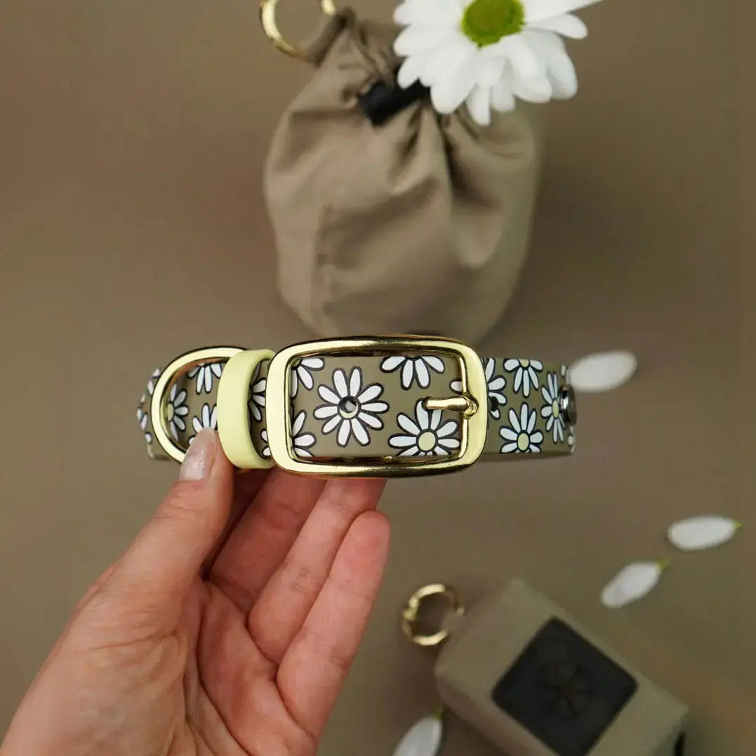 Obroża na sprzączkę dla psa, Stokrotki / khaki BURA