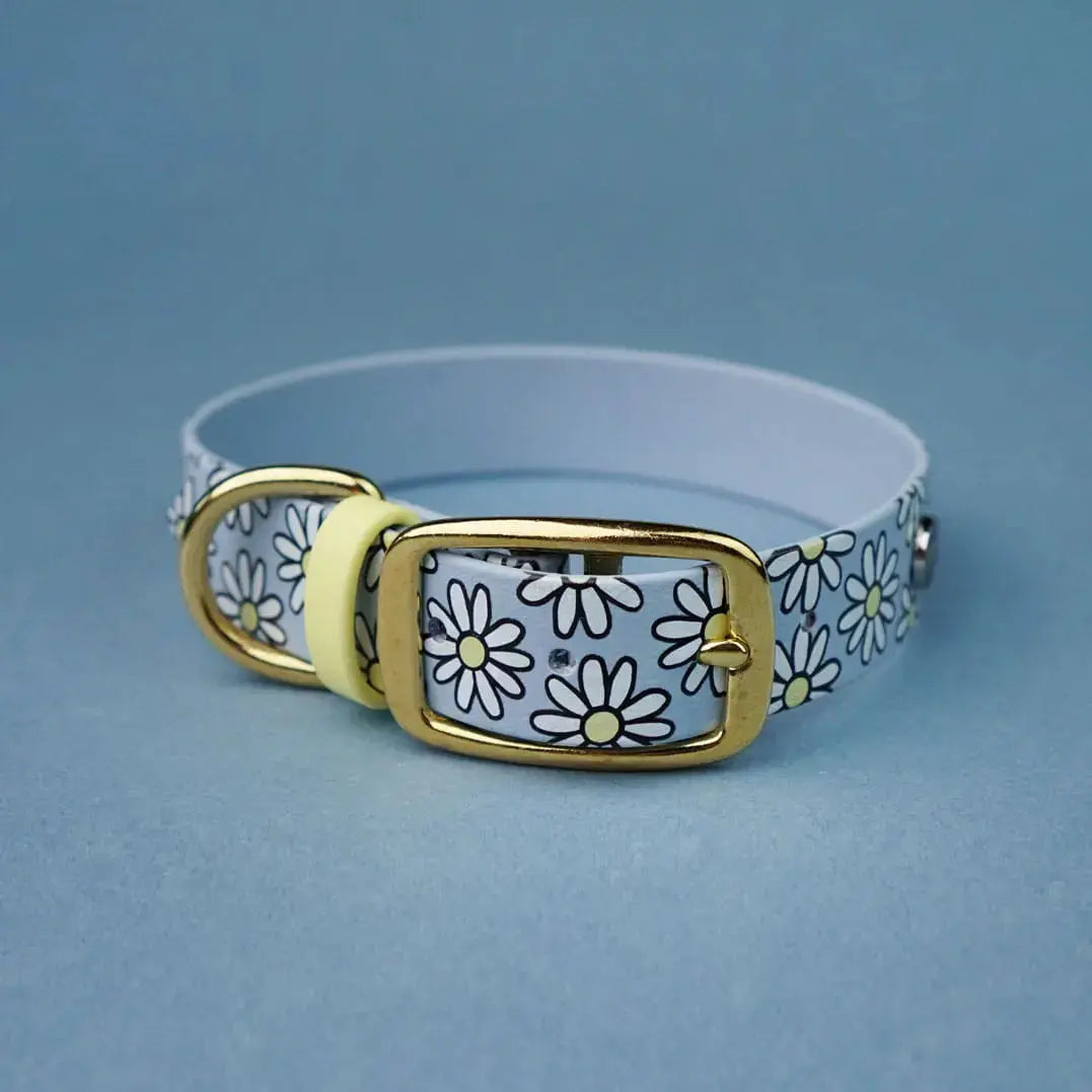 Obroża na sprzączkę dla psa, Stokrotki / pastelowy-niebieski BURA