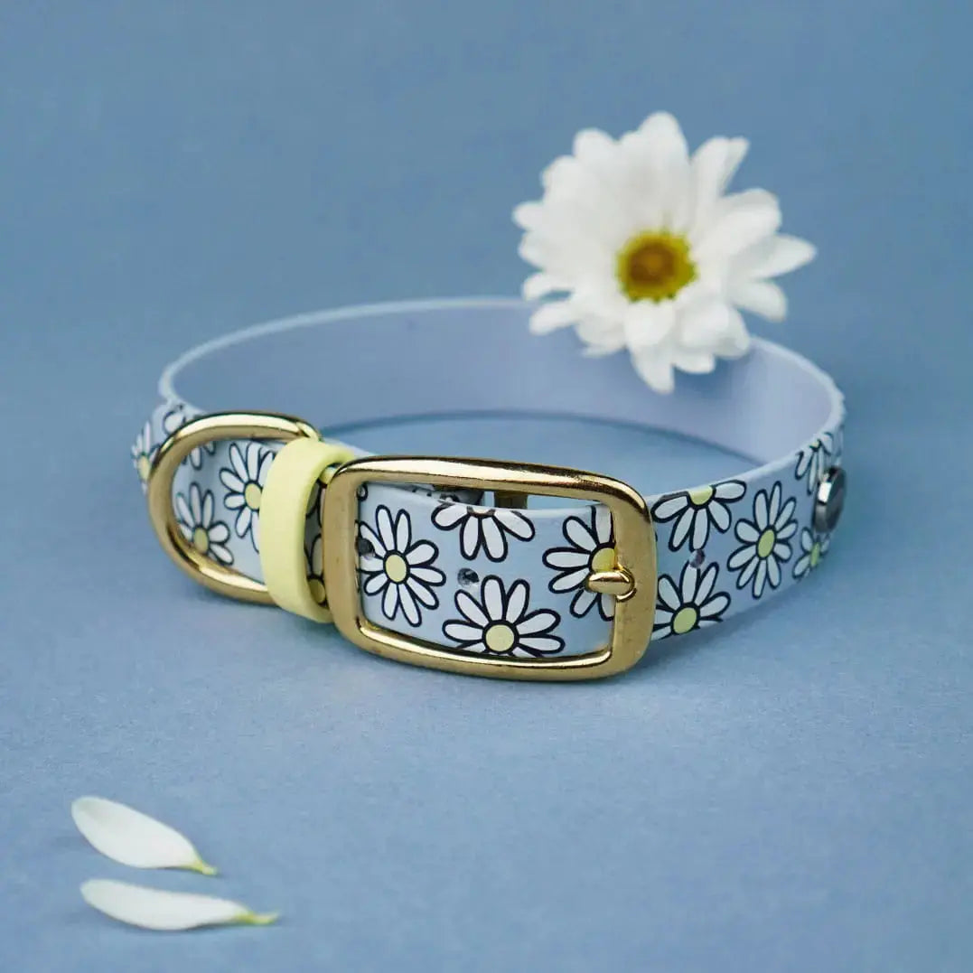 Obroża na sprzączkę dla psa, Stokrotki / pastelowy-niebieski BURA