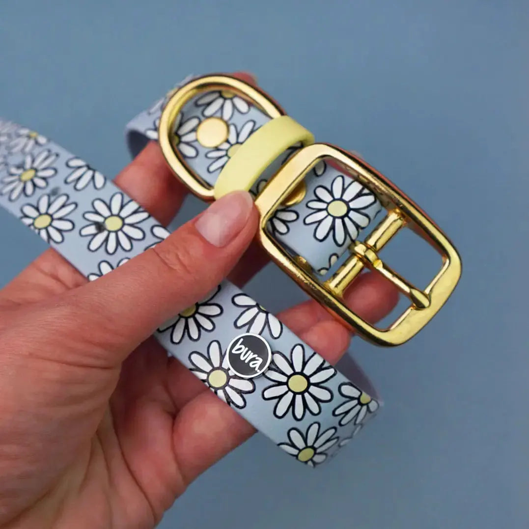 Obroża na sprzączkę dla psa, Stokrotki / pastelowy-niebieski BURA