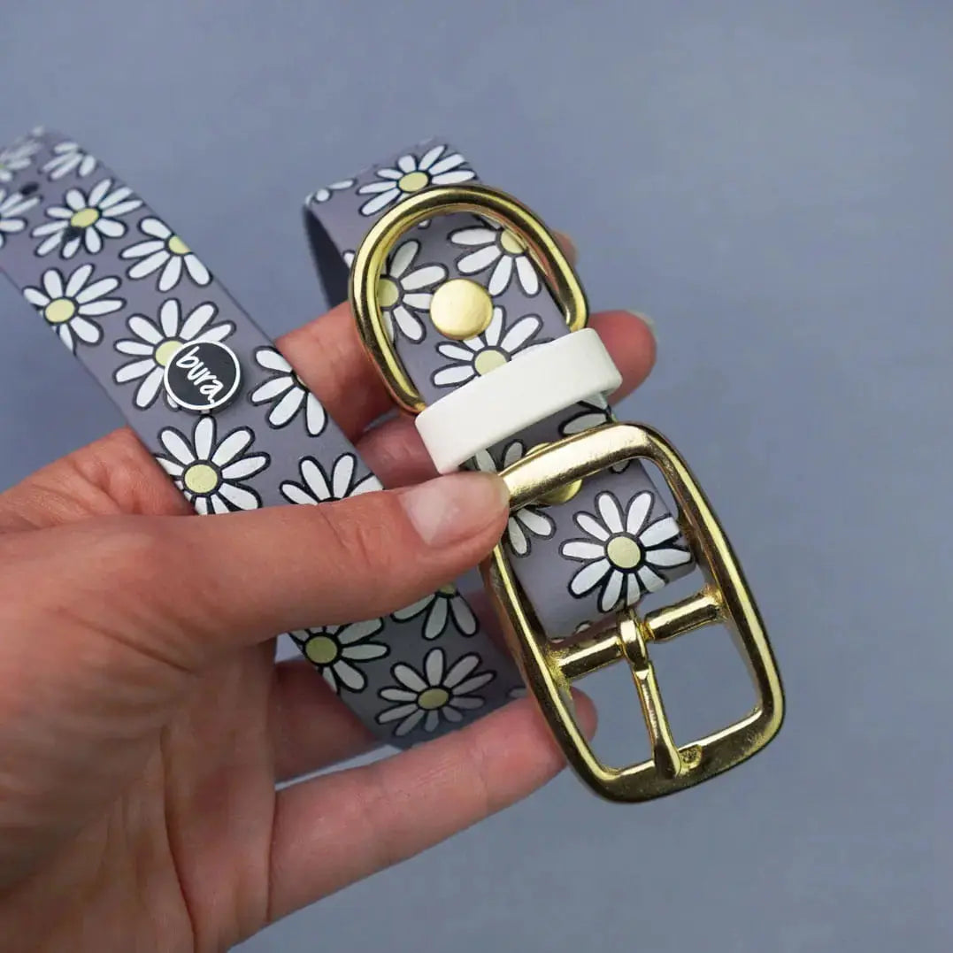 Obroża na sprzączkę dla psa, Stokrotki / szary BURA