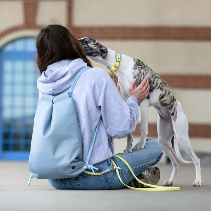 Bura Torba 2w1 PUPPY blue / pastelowy niebieski BURA