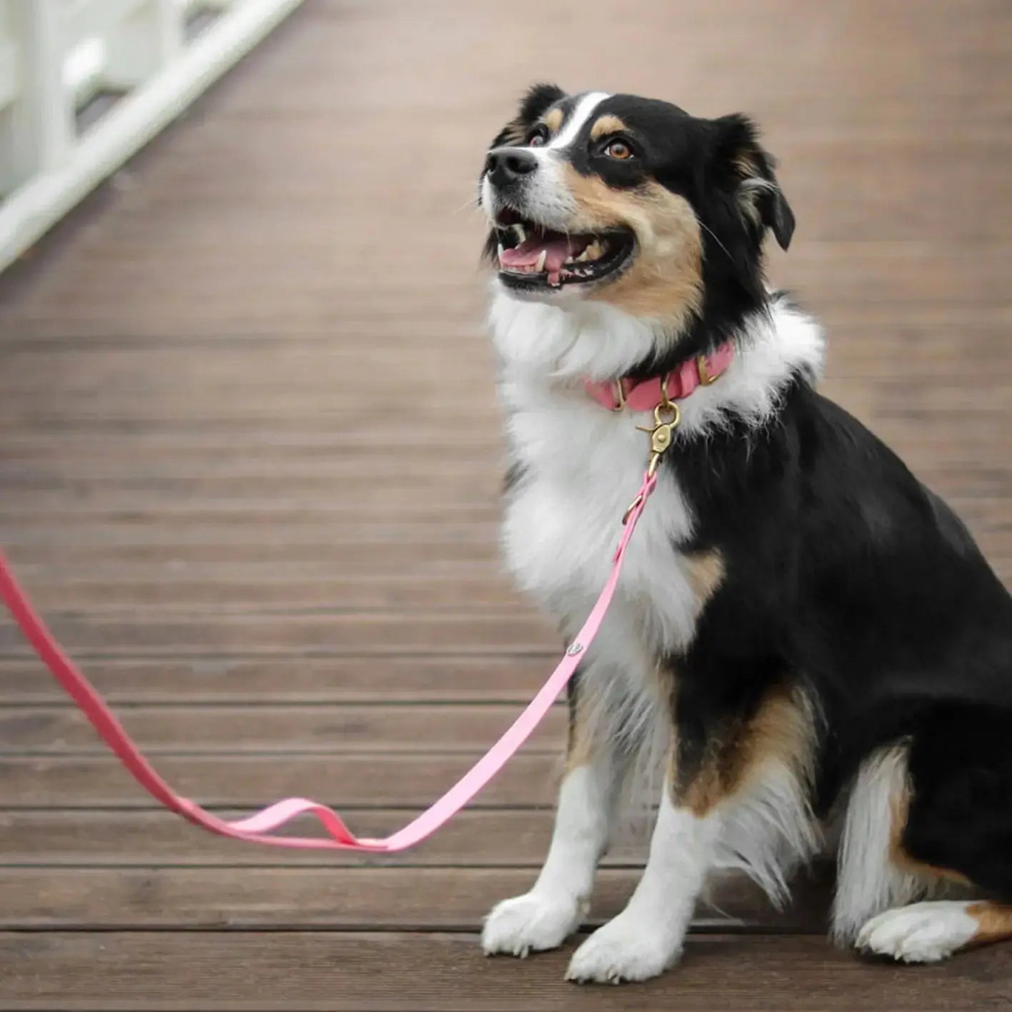 Smycz przepinana multifunkcyjna z Biothane dla psa, pastelowy róż / PUPPY pink BURA