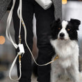Załaduj obraz do przeglądarki galerii, Smycz przepinana multifunkcyjna z Biothane dla psa, biały / beza Psiavlova BURA
