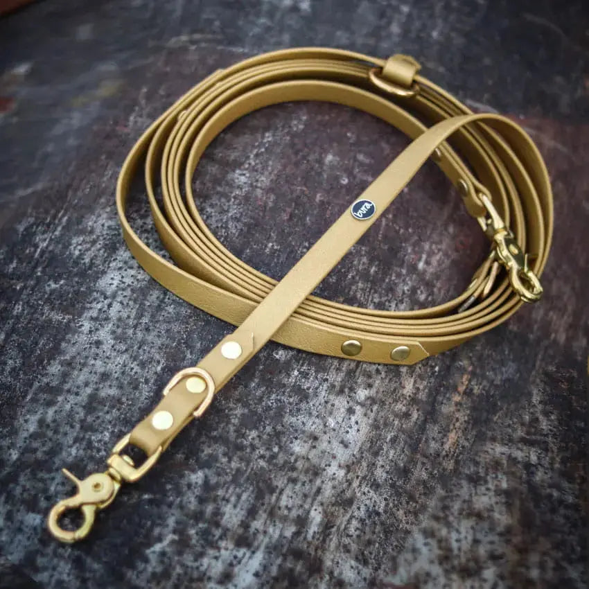 Smycz przepinana multifunkcyjna z Biothane dla psa, złoty / psiowe carmeLOVE, chocolate... HAU good! BURA