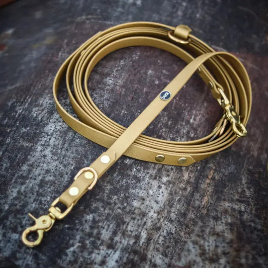 Smycz przepinana multifunkcyjna z Biothane dla psa, złoty / psiowe carmeLOVE, chocolate... HAU good! BURA