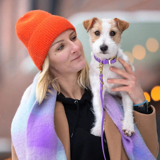 Smycz przepinana multifunkcyjna z Biothane dla psa, jasny fioletowy / FURRY tale BURA