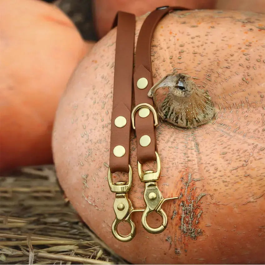 Smycz przepinana multifunkcyjna z Biothane dla psa, jasny brąz / dog on the ROCK BURA