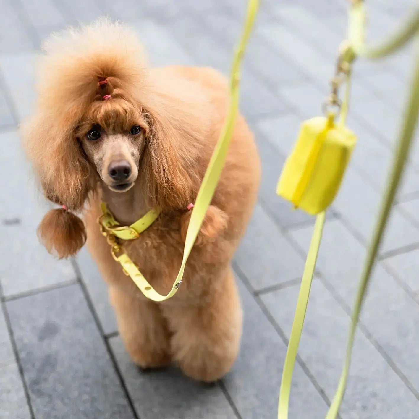 Smycz przepinana multifunkcyjna z Biothane dla psa, pastelowy żółty / PUP'S Paradise BURA