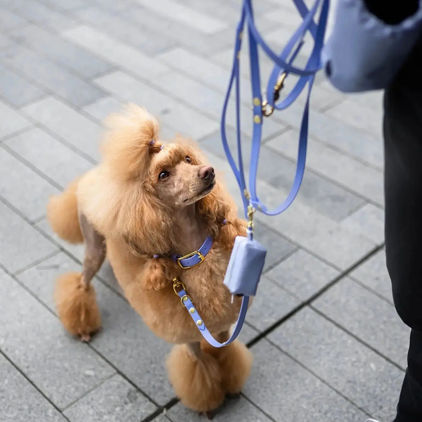 Smycz przepinana multifunkcyjna z Biothane dla psa, niebiesko-lawendowy / Magic Paws BURA