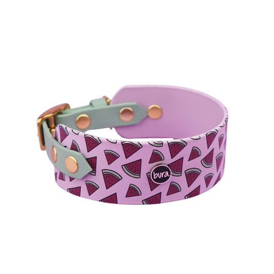 Obroża dla Charta na sprzączkę, Arbuziki / lilia BURA