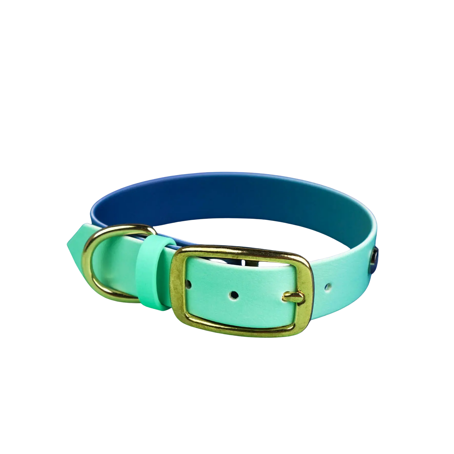 BURA obroże na sprzączkę