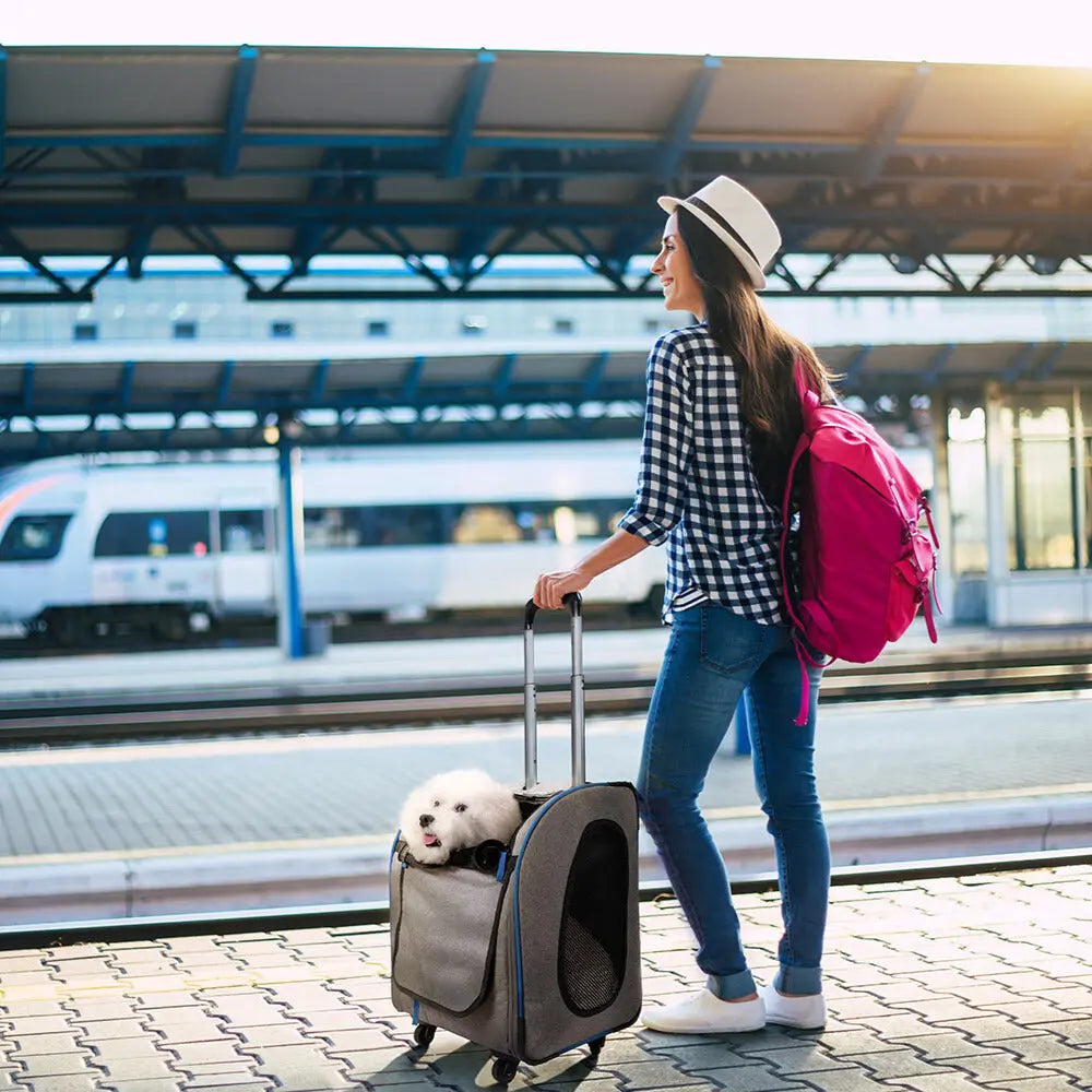 Plecak Ibiyaya Transport Liso szary Ibiyaya