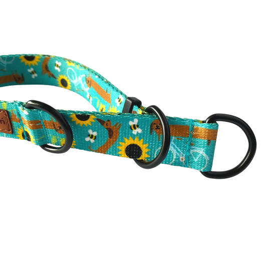 Obroża półzaciskowa Dłuuugie podróże psistań