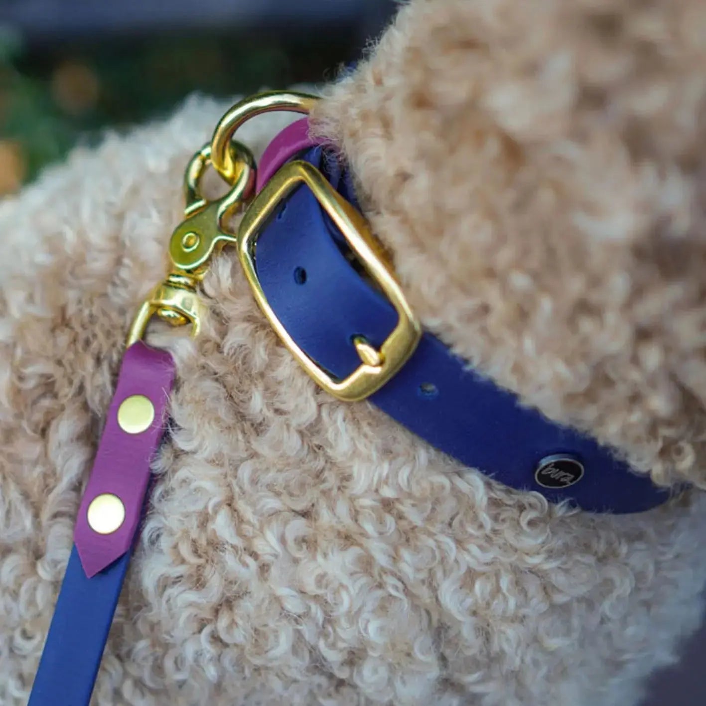 Smycz przepinana multifunkcyjna z Biothane dla psa, granatowo-bordowy / Bura Szmula BURA