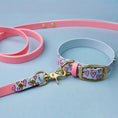 Załaduj obraz do przeglądarki galerii, Smycz przepinana multifunkcyjna z Biothane dla psa, Serca / róż, pastelowy niebieski BURA
