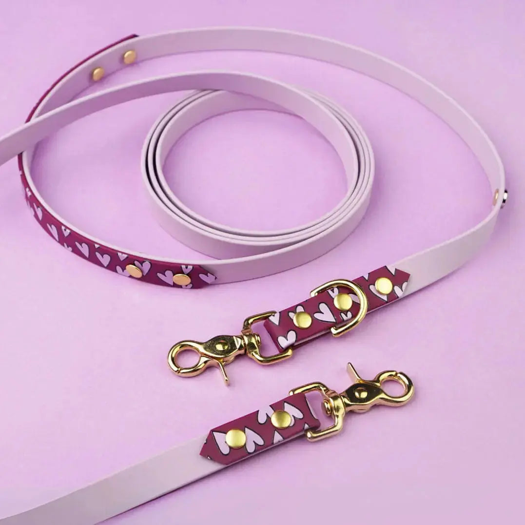 Smycz przepinana multifunkcyjna z Biothane dla psa, Serca / lilia, bordo BURA