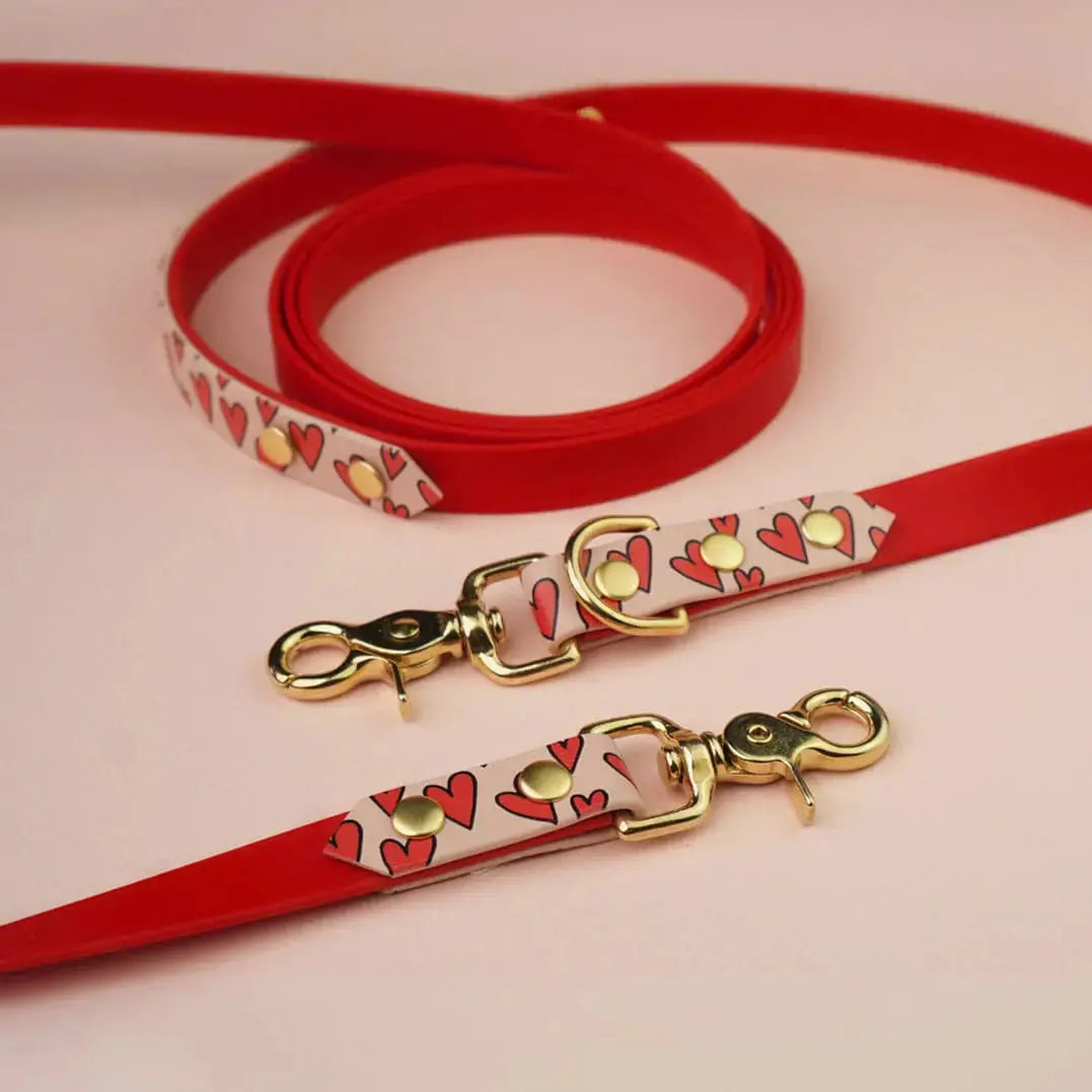 Smycz przepinana multifunkcyjna z Biothane dla psa, Serca / czerwony,  pudrowy BURA