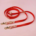Załaduj obraz do przeglądarki galerii, Smycz przepinana multifunkcyjna z Biothane dla psa, Wiśnie i serduszka / czerwony,  łososiowy róż BURA
