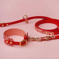 Załaduj obraz do przeglądarki galerii, Smycz przepinana multifunkcyjna z Biothane dla psa, Wiśnie i serduszka / czerwony,  łososiowy róż BURA
