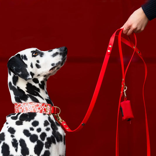Smycz miejska z Biothane dla psa, czerwony / hot DOG BURA
