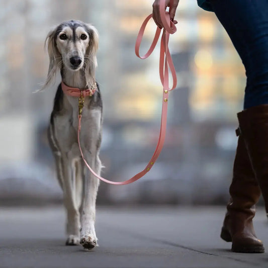 Smycz miejska z Biothane łososiowy róż BURA