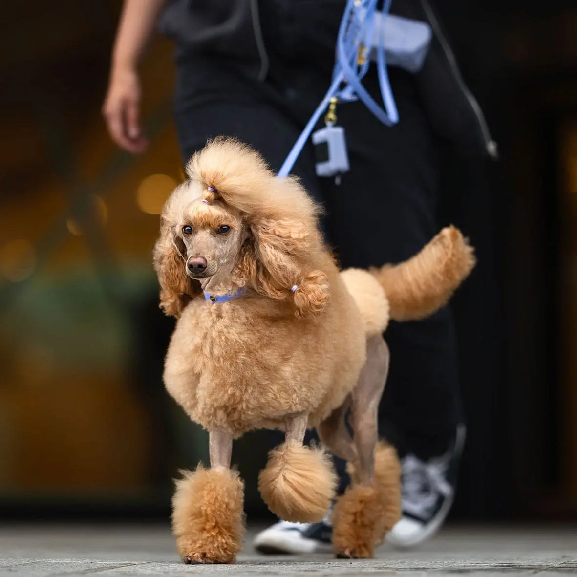 Smycz miejska z Biothane dla psa, niebiesko-lawendowy / Magic Paws BURA