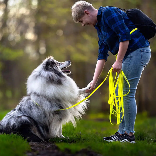 Linka treningowa dla psa z taśmy HEXA, neonowy żółty BURA